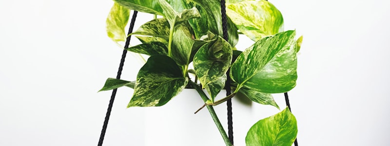 赛事直播截图 - 英超曼城对阵利物浦的激烈比赛画面